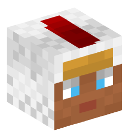 Minecraft head — People