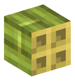 Minecraft head — Blocks