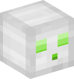 Minecraft head — Miscellaneous