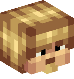 Minecraft head — People