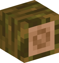 Minecraft head — Blocks