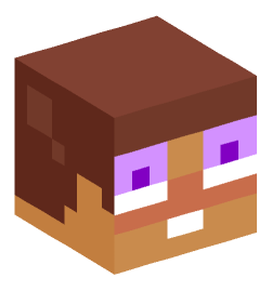 Minecraft head — Miscellaneous