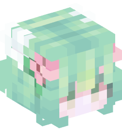 Minecraft head — People