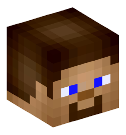 Minecraft head — People