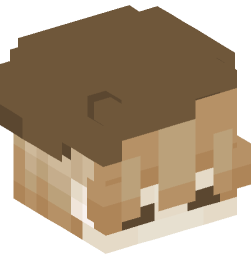 Minecraft head — People