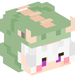 Minecraft head — People