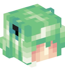 Minecraft head — People