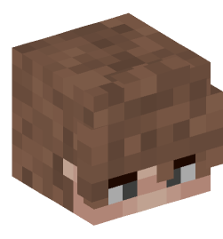 Minecraft head — People