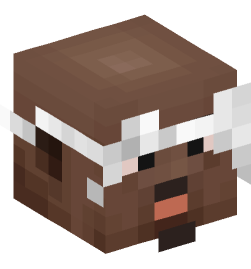 Minecraft head — People