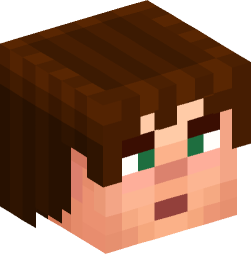 Minecraft head — People