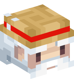 Minecraft head — People