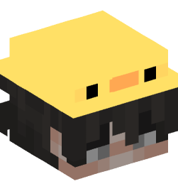 Minecraft head — People