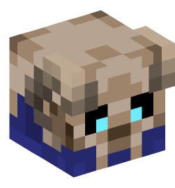 Minecraft head — Decor