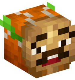 Minecraft head — People