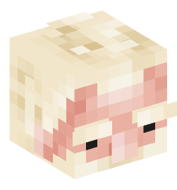 Minecraft head — People