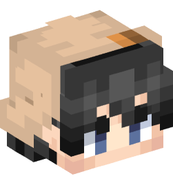 Minecraft head — People