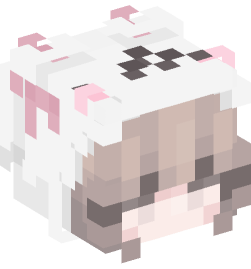 Minecraft head — People