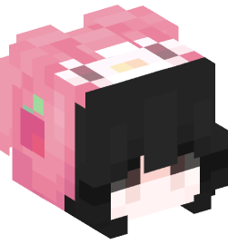 Minecraft head — People