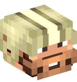 Minecraft head — People