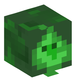 Minecraft head — Creatures