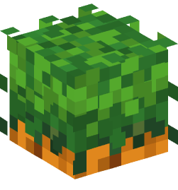 Minecraft head — Plants