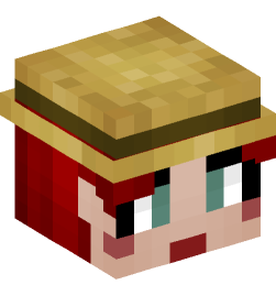 Minecraft head — People