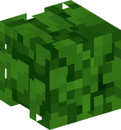 Minecraft head — Plants