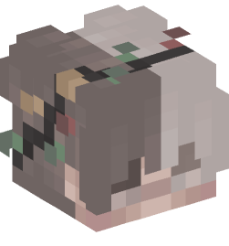 Minecraft head — People