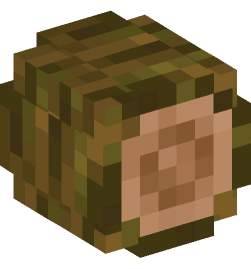 Minecraft head — Blocks