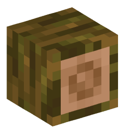 Minecraft head — Blocks