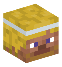 Minecraft head — People