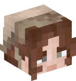 Minecraft head — People