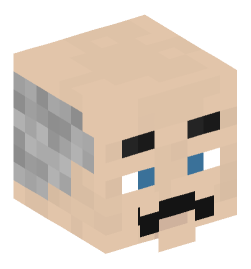 Minecraft head — People