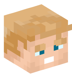 Minecraft head — People