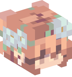 Minecraft head — People