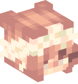 Minecraft head — People