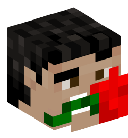 Minecraft head — People