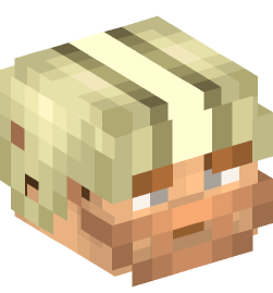 Minecraft head — People