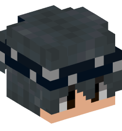 Minecraft head — People