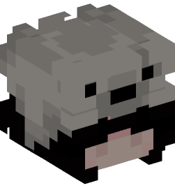 Minecraft head — People