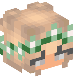 Minecraft head — People