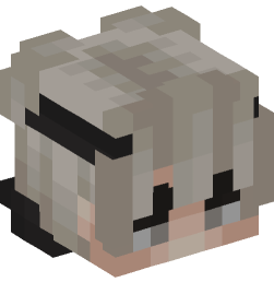 Minecraft head — People