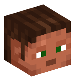 Minecraft head — People