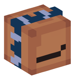 Minecraft head — Decor