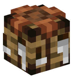 Minecraft head — Decor