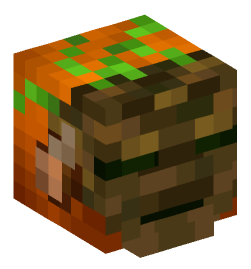 Minecraft head — People