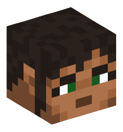 Minecraft head — People