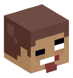 Minecraft head — Miscellaneous