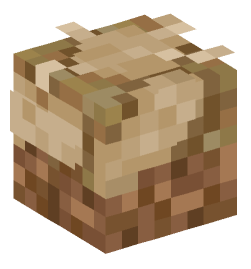 Minecraft head — Decor