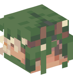 Minecraft head — Creatures